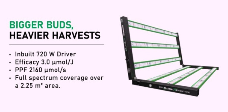 DIGI-LUMEN 720 W Extreme LED Grow Light - Image 5